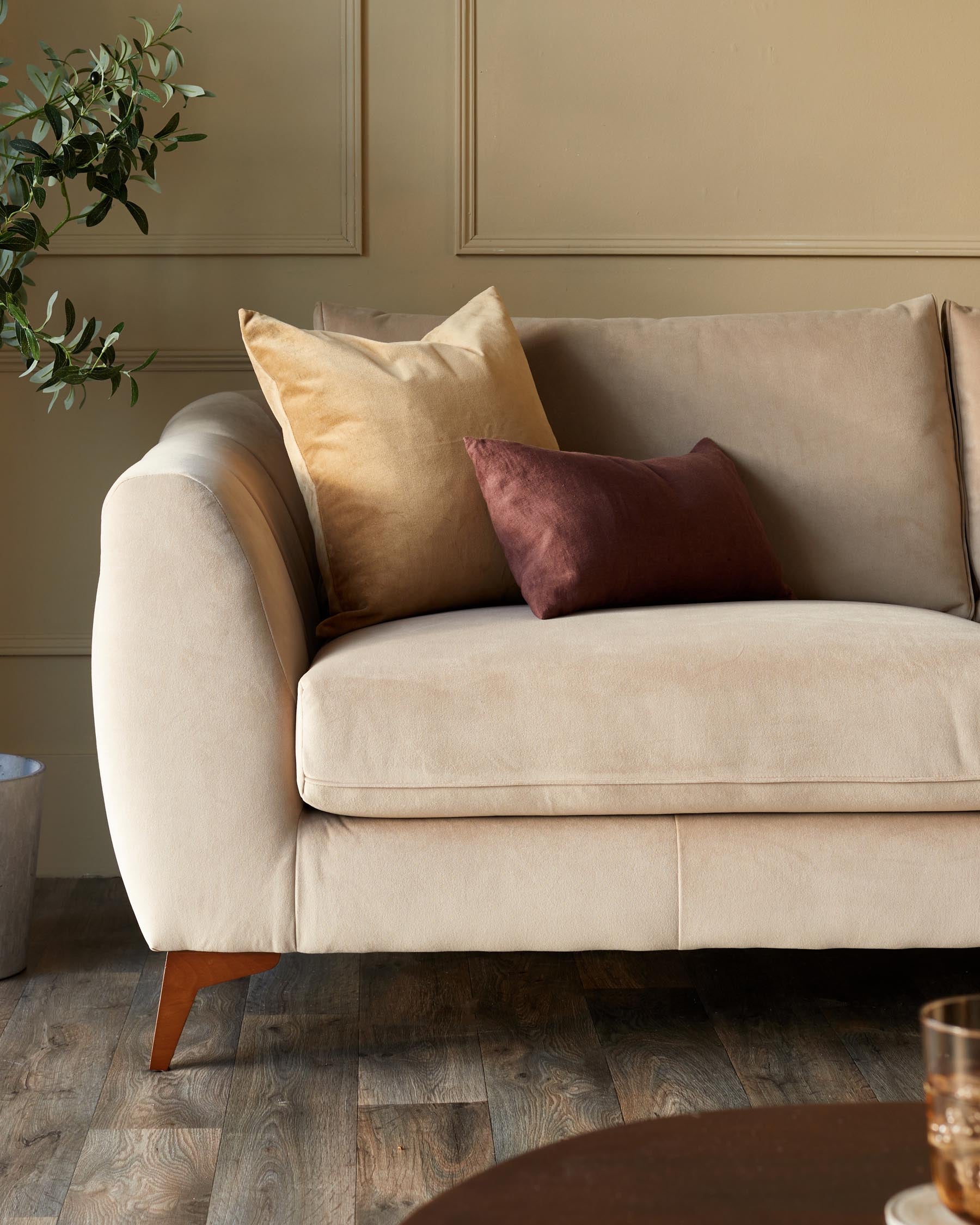 Genevieve champagne velvet 3 seater sofa with wooden leg