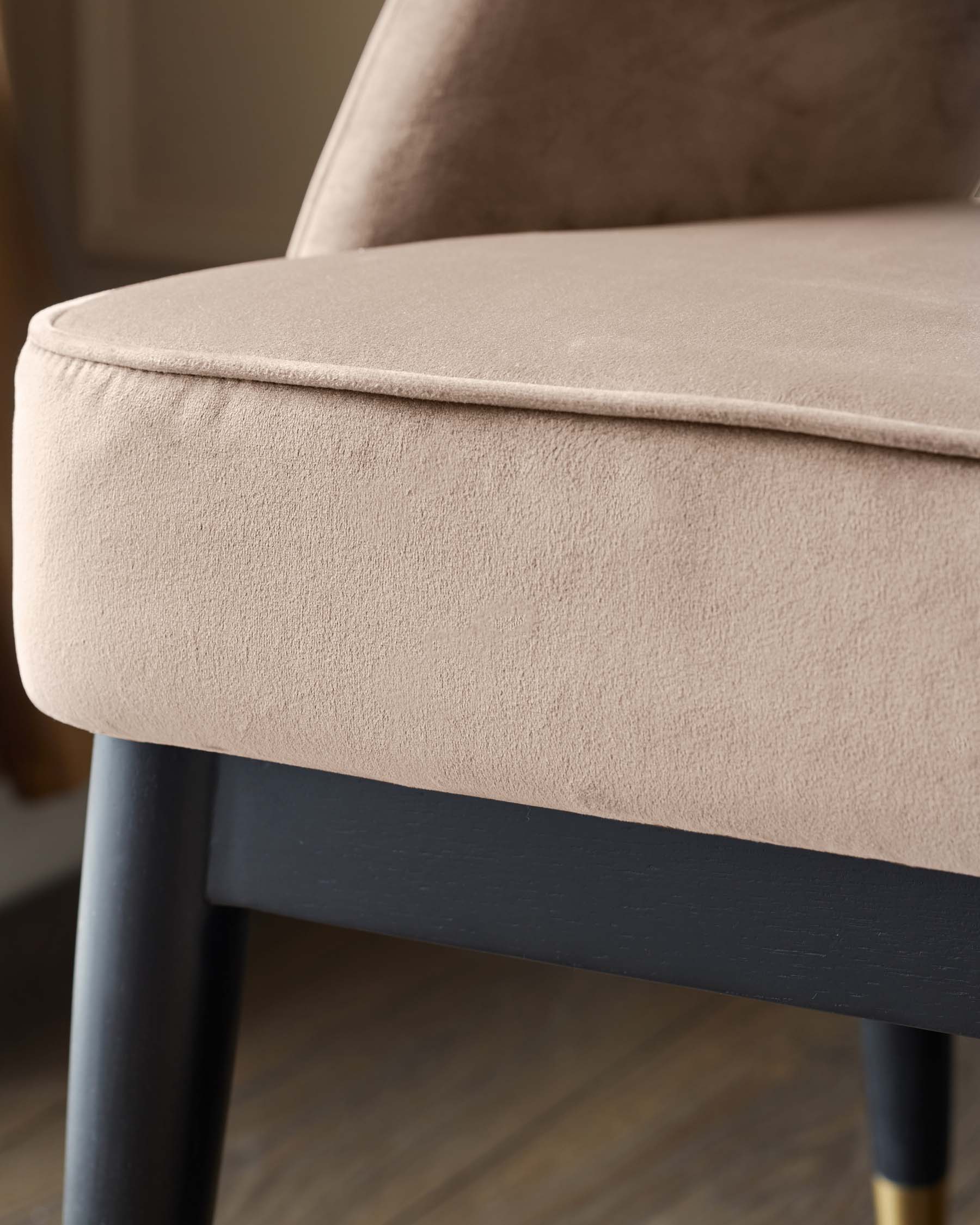 Clover Champagne Velvet Dining Bench With Backrest